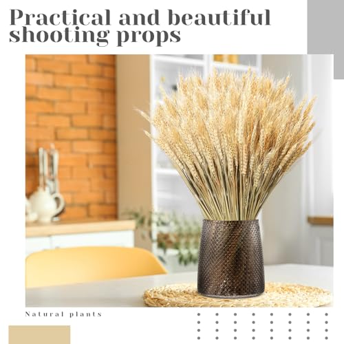 Tiges de blé séchées naturelles décoratives pour centre de table champêtre - 4