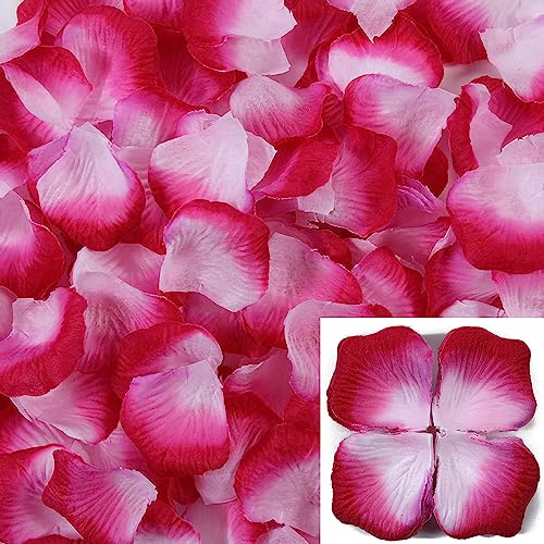 Ԃт  2500 gFɃOf[V Y }`bN  j a v|[Y EGfBO p[eB[ 100j lC  