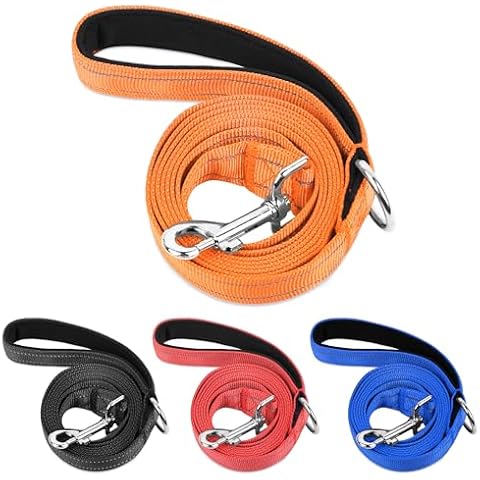 PWOD Double-Sided Reflective Nylon Dog Leash, 4 FT/5 FT/6 FT, Soft Padded Handle Heavy Duty Dogs Leashes with D Ring for Medium and Large Dogs Walking and Training,(Orange, 4FT) Cover