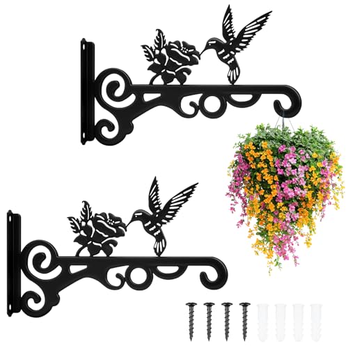 Zocipro Lot de 2 Supports pour Suspension de Plantes en Métal 25 cm, Crochets Muraux Robustes en...