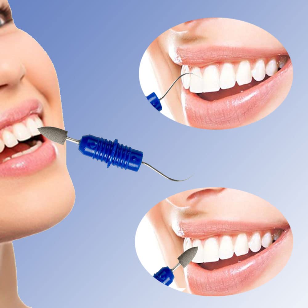 Kit di 4 plettri dentali riutilizzabili, portatili, per rimuovere macchie e placca dei denti, con portachiavi, gomme da cancellare, set di strumenti per viaggi, animali domestici e igiene