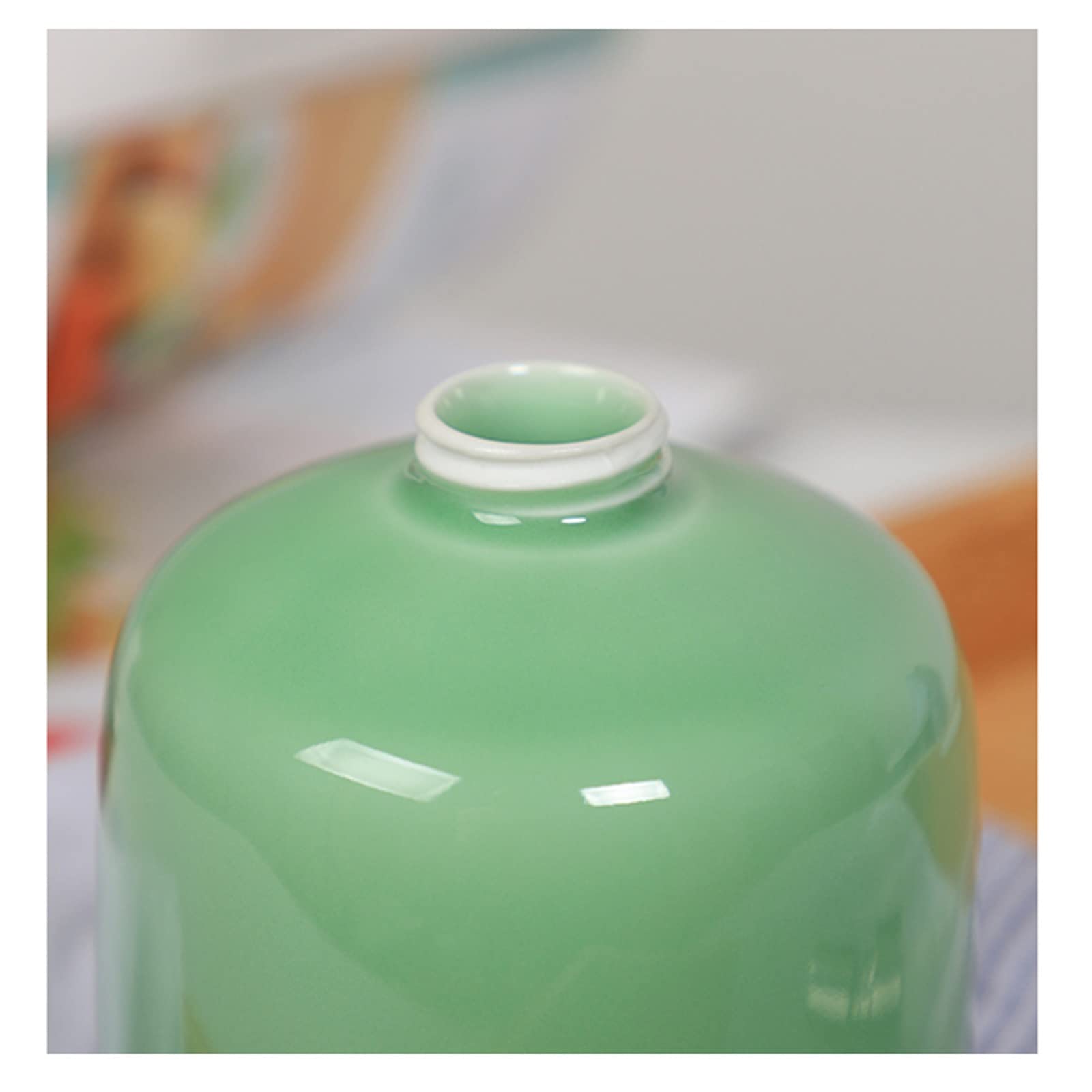 Dispenser per Doccia, Dispenser per Le Mani, Dispenser per lozione, flacone per Oli Essenziali, Serbatoio Ricaricabile per Sapone Liquido, Serbatoio in Ceramica per Bagno e Cucina