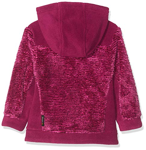 Jack Wolfskin Boys Outerwear, Fuchsia Stripes, 3-4 US2