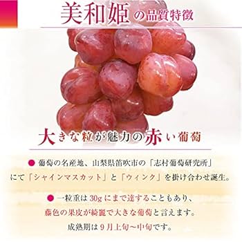 山梨県産ぶどう　美和姫　レッドシャインマスカット8房入り箱込み約5.4kg 山梨県産ぶどう 美和姫 レッドシャインマスカット8房入り箱込み