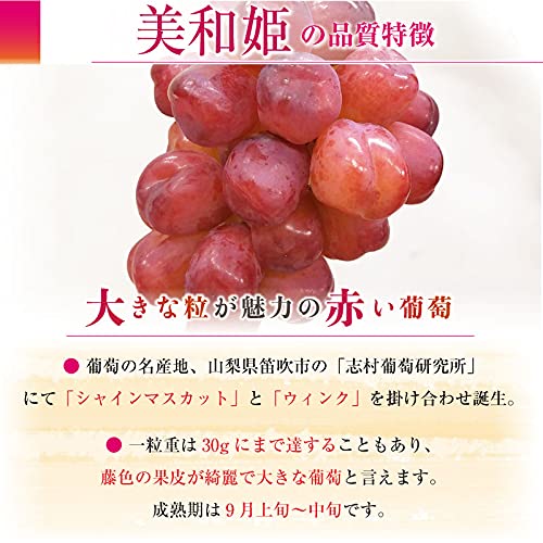Amazon.co.jp: 美和姫 3房 約2.4kg 約800g ×3房 山梨 シャイン