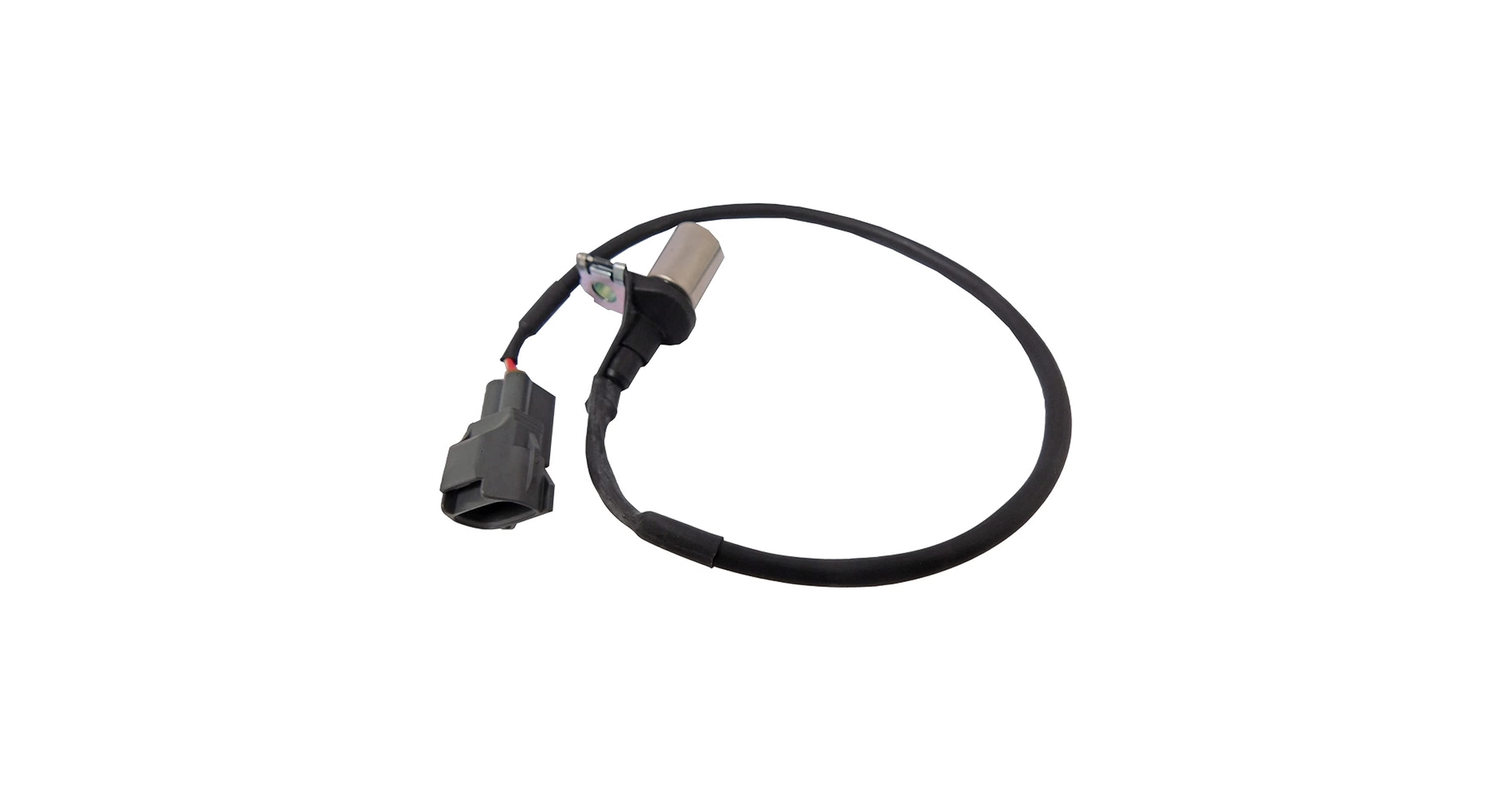 51n8MqaWruL.jpg_BO30,255,255,