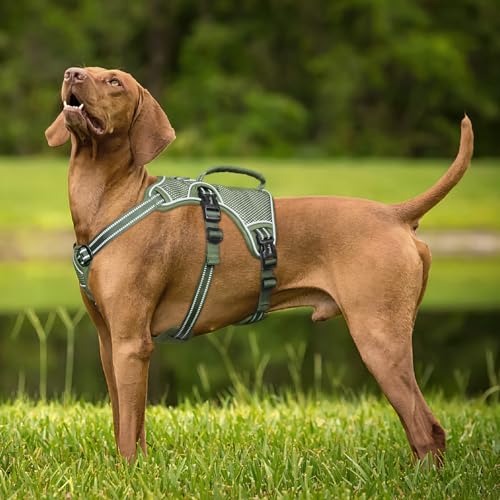 HEELE Hundegeschirr, Ausbruchsicher, Schnalle im Halsbereich, Reflektierend, Brustgeschirr mit Robuster Griff, Panikgeschirr Hund, Hundegeschirr Stabilen Eindruck, Passt wie Angegossen, Grün, L