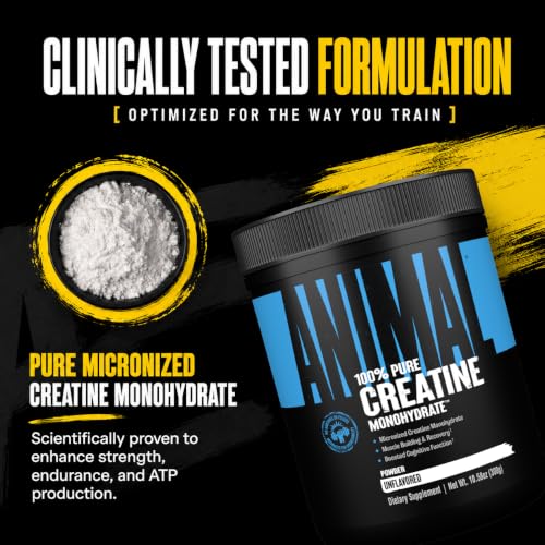 Image of Animal Creatine Monohydrate Powder - Micronized Creatine for Women and Men, Supports Muscle Growth, Strength, Endurance, Recovery and ATP Production, Gym & Workout Supplements - Unflavored, 500g