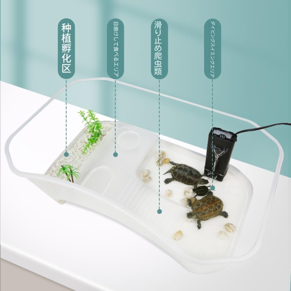 Amazon | Zehaiwl カメ用水槽 大きい カメ 水槽 亀の水槽 40CM
