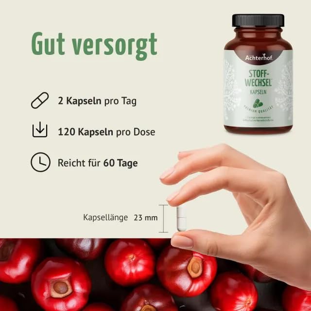 Stoffwechsel Kapseln (120 Kapseln) | Funktion aus Cholin, Zink und Chrom | plus Garcinia Cambogia, Guarana-, Grüntee- & Ingwer-Extrakt | für 60 Tage | vom Achterhof