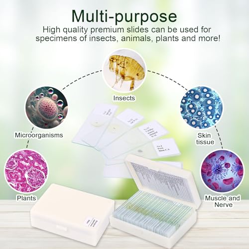 Image of 30 Microscope Slides with specimens, Plants, Insects, Animal Cell Samples for use in Biological Science Labs for Children, Students and homeschools