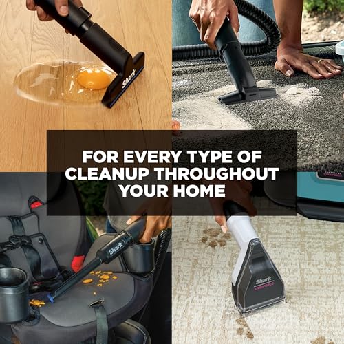Image of Shark EveryMess | Ultra-Powerful 3-in-1 Wet Vac, Dry Vac, & Stain Eliminator | StainForce Technology, Perfect for Homes, Pets, and Cars | 3 Accessories and Cleaning Solution | Blue | VX102BRN