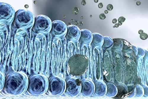 The Innovative Cellular Engineering That Keeps Us Alive Podcast Por  arte de portada