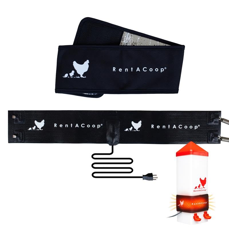 RentACoop Thermo Bucket Belt Small with Insulated Wrap