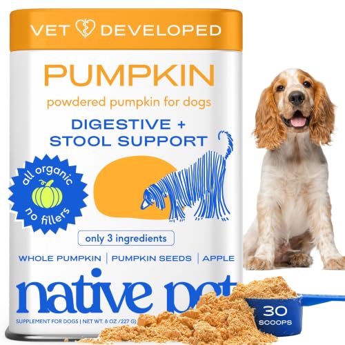 Native Pet Pumpkin for Dogs - Organic Dog Food Topper Powder - Promotes Firm Stools, Supports Digestive, Bowel Health & Nutrient Absorption - USDA Organic, Rich in Fiber with Real Pumpkin - 30 Scoops