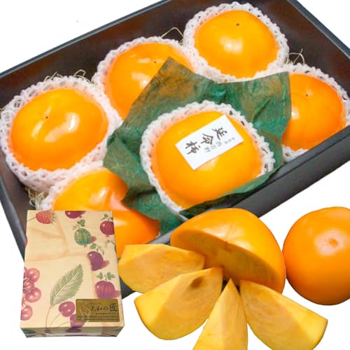 ޗǌY, xL` `, pϔ, r^~CLx, Mtg, v[g (3LTCYi6j)