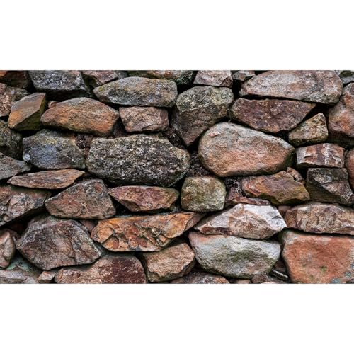 ΐق̔wi VR⋛p̐̔wi bL[KXeEwi Xg[bN঒ސn̔wi|X^[ Xg[EH[ ٔwi|X^[ ǎ 76.2x45.7 cm