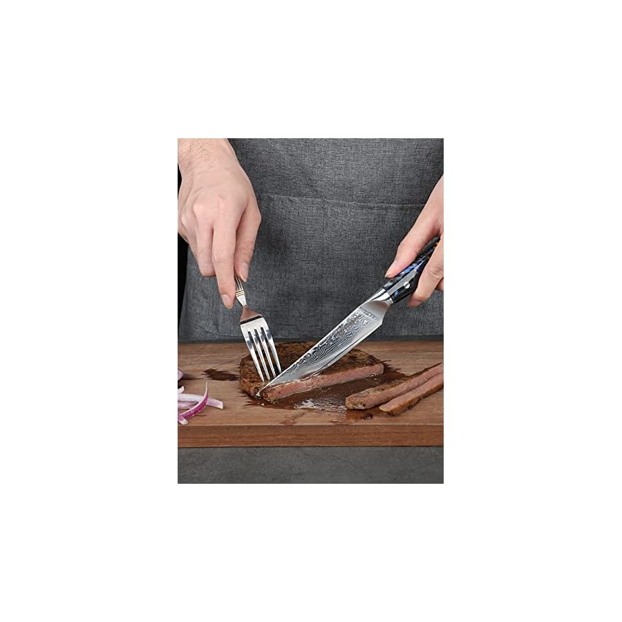 Steak-Knives-Set-of-4-Ultra-Sharp-Non-Serrated-Kitchen-Steak-Knife-5-Inch-Damascus-Steel-Resin-Handle-Xuan-Series-Starry-Black Steak Knives Set of 4, Ultra Sharp Non Serrated Kitchen Steak Knife 5 Inch - Damascus Steel & Resin Handle - Xuan Series (Starry Black)