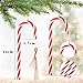 Naler 12 Bastones de Caramelo Adornos para Árboles de Navidad Muletas Plásticas Colgante de Decoración con Cordón Rojo y Blanco Imagen de Naler 12 Bastones de Caramelo Adornos para Árboles de Navidad Muletas Plásticas Colgante de Decoración con Cordón Rojo y Blanco