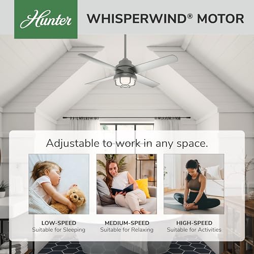 Image of Hunter Searow, Outdoor or Indoor, Ceiling Fan, Quiet, 54 inch, Matte Silver