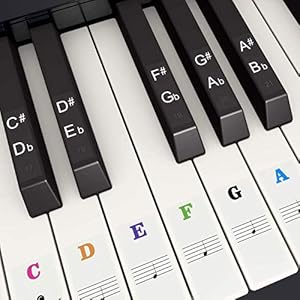 Piano Keyboard Stickers for 37/49/54/61/88 White and Black Keys, Fansjoy Music Electronic Piano Keyboard Note Stickers…