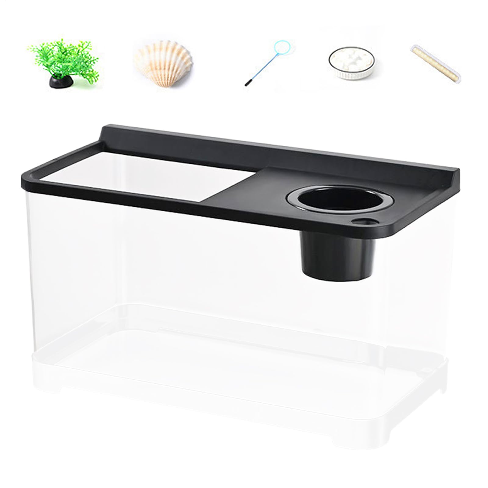 Aquarium petit 20 cm pour une décoration de salon ou bureau zen