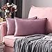 MIULEE Funda de Cojines para Sofá Funda de Almohadas de Terciopelo Suave Almohada Decorativa Moderna Funda Cojin para Sala de Estar Cama Silla Dormitorio 2 Piezas 30x50 cm Rosado Morado