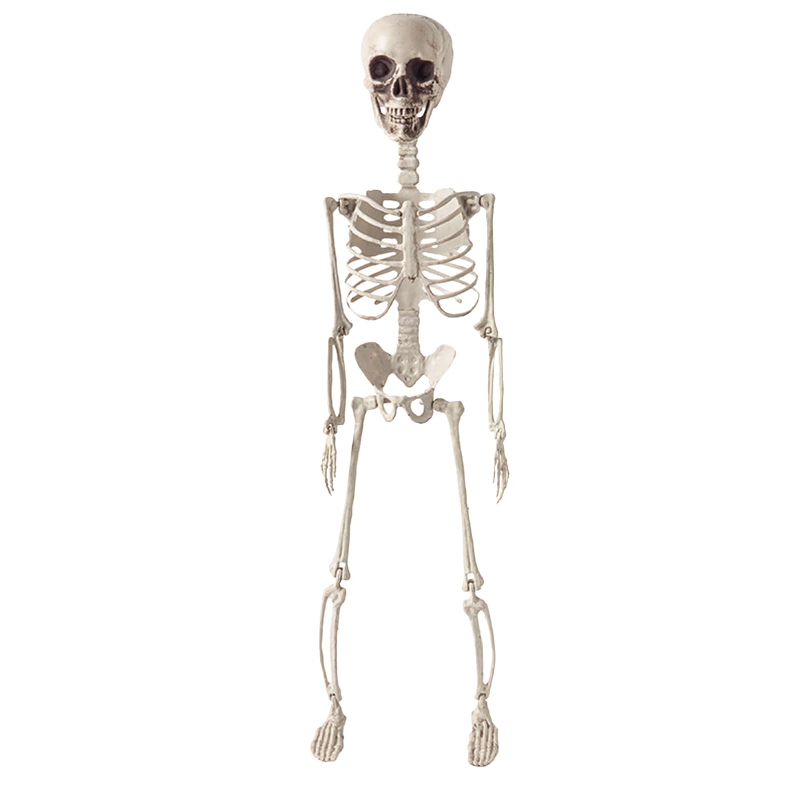 Squelettes d'Halloween d'extérieur de 0,6 m statues pliables en os
