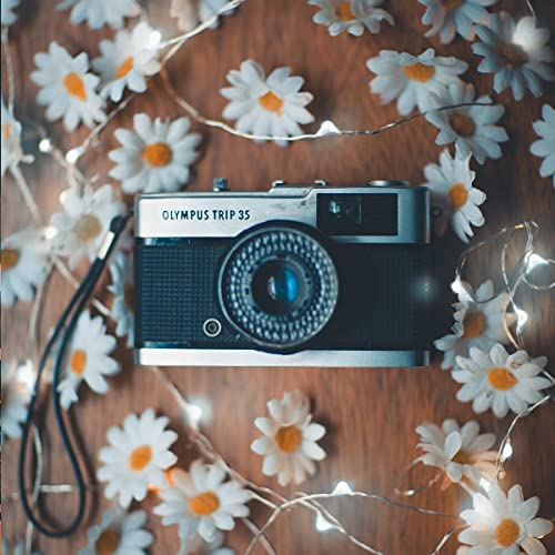 Sanniu Led Fairy Lights Battery Operated, 1 Pack Mini Battery Powered Copper Wire Starry String Lights For Christmas,Bedroom, Parties,Wedding,Indoor,Home Decoration (5M/16Ft Cool White) #TOP3