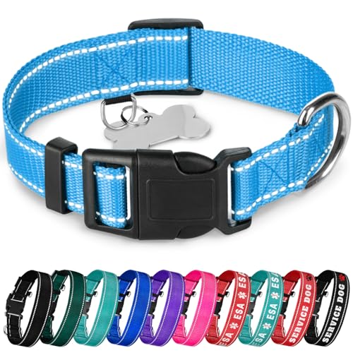 TECEUM Reflective Dog Collar – Sky Blue – L – Basic Nylon Pet Collar – Quick Release Buckle – Fits Small, Medium and Large Dogs, Puppies, Cats – ESA & Service Dog Options