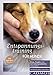 Produktbild Entspannungstraining für Hunde: Stress, Ängste und Verhaltensprobleme reduzieren