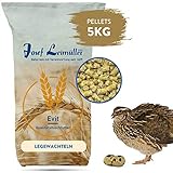 ✅ FÜR GUTE LEGELEISTUNG Das hochwertige Alleinfuttermittel wurde speziell für Legewachteln entwickelt und sorgt für eine gute Legeleistung und besonders feste Eierschalen. Es enthält wertvolle Rohstoffen, für gesunde und vitale Wachteln.