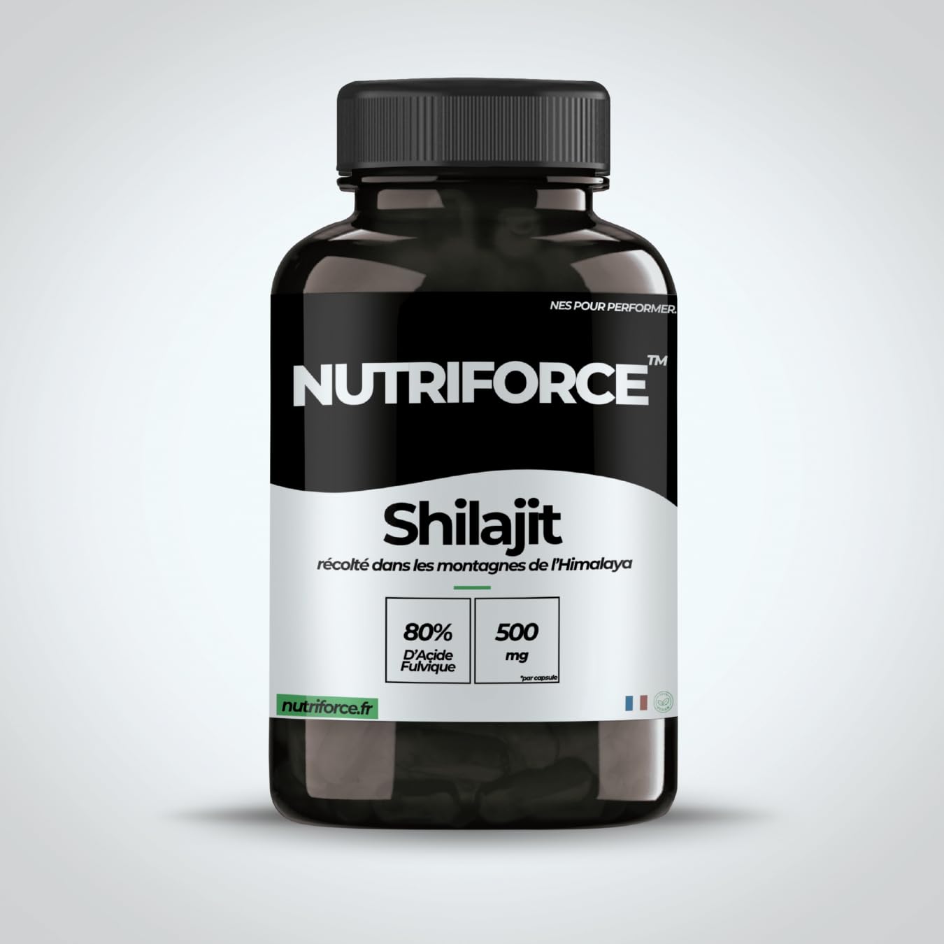 Resina di Shilajit dell’Himalaya – L’unico vero Shilajit in Italia