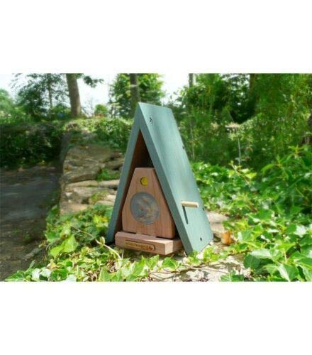 Elegant Style Butterfly House With Butterfly Food and Guide