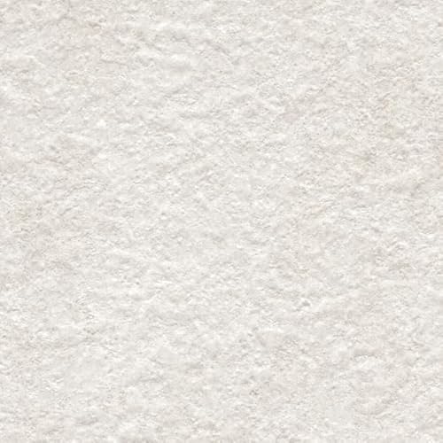 y30mpbNz TQc SP9734̂tǎ/Ђ ʎYNX Ζڒ[N-SP9734-30] SP 2023-2025