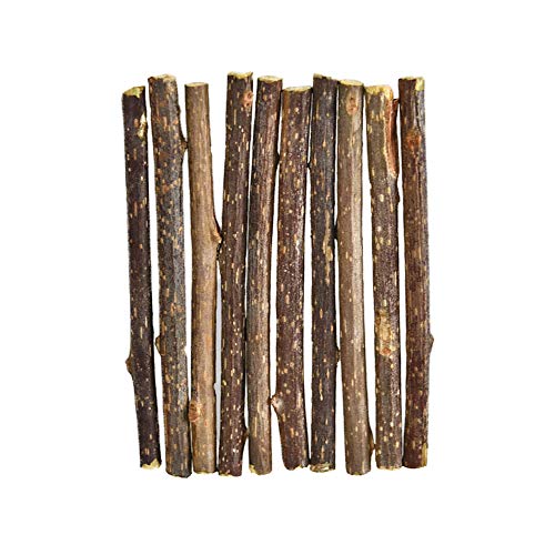 HZONGMINGZT Catnip Sticks Cat Chew Sticks Silvervine Sticks for Cats Natural Cat Teething Toys for Teeth Grinding Cleaning (10 Pcs)