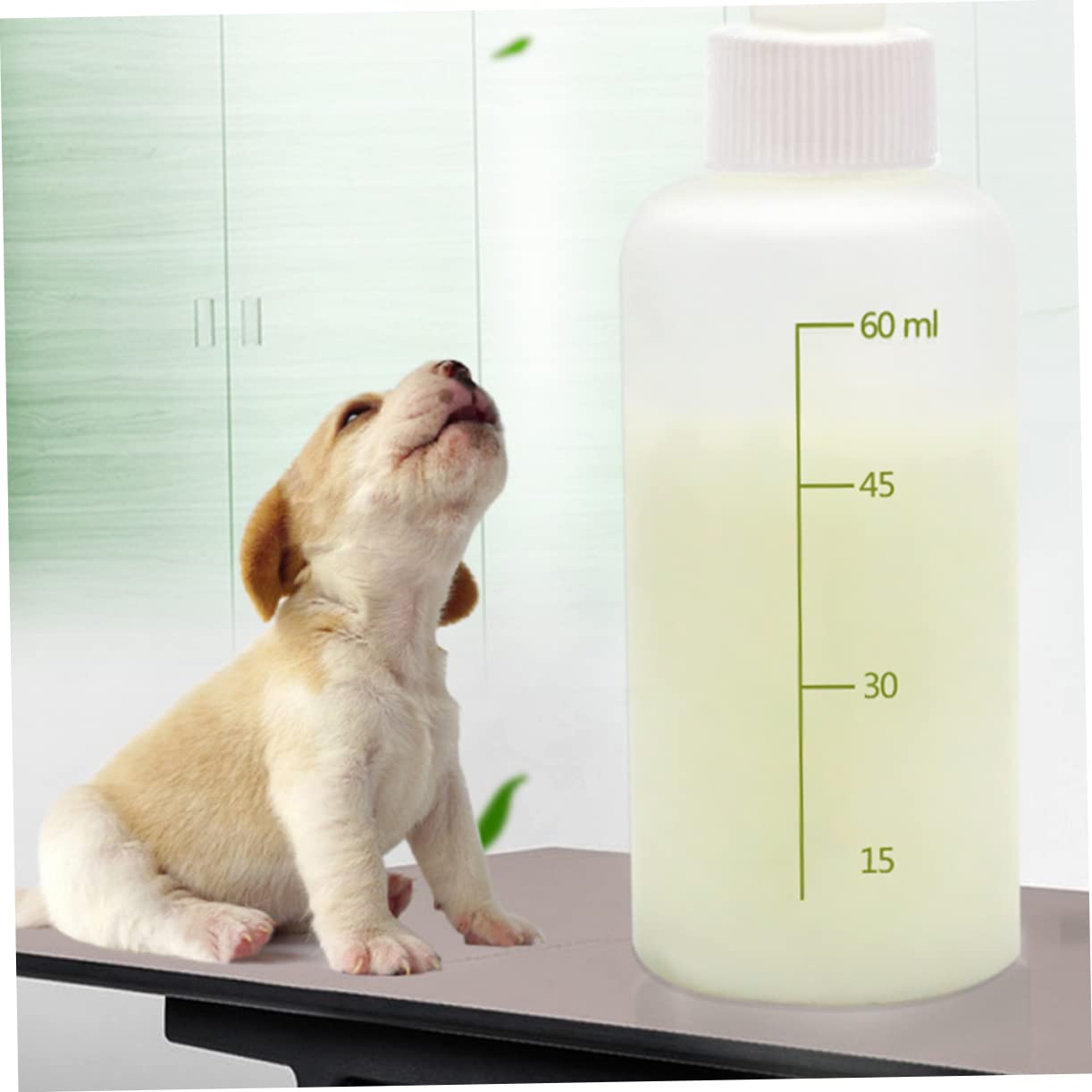 Beavorty 6 Set di Biberon per Animali Domestici per Gattini Biberon in Silicone per Lallattamento Biberon per Animali Domestici Biberon Portatile con Bilancia