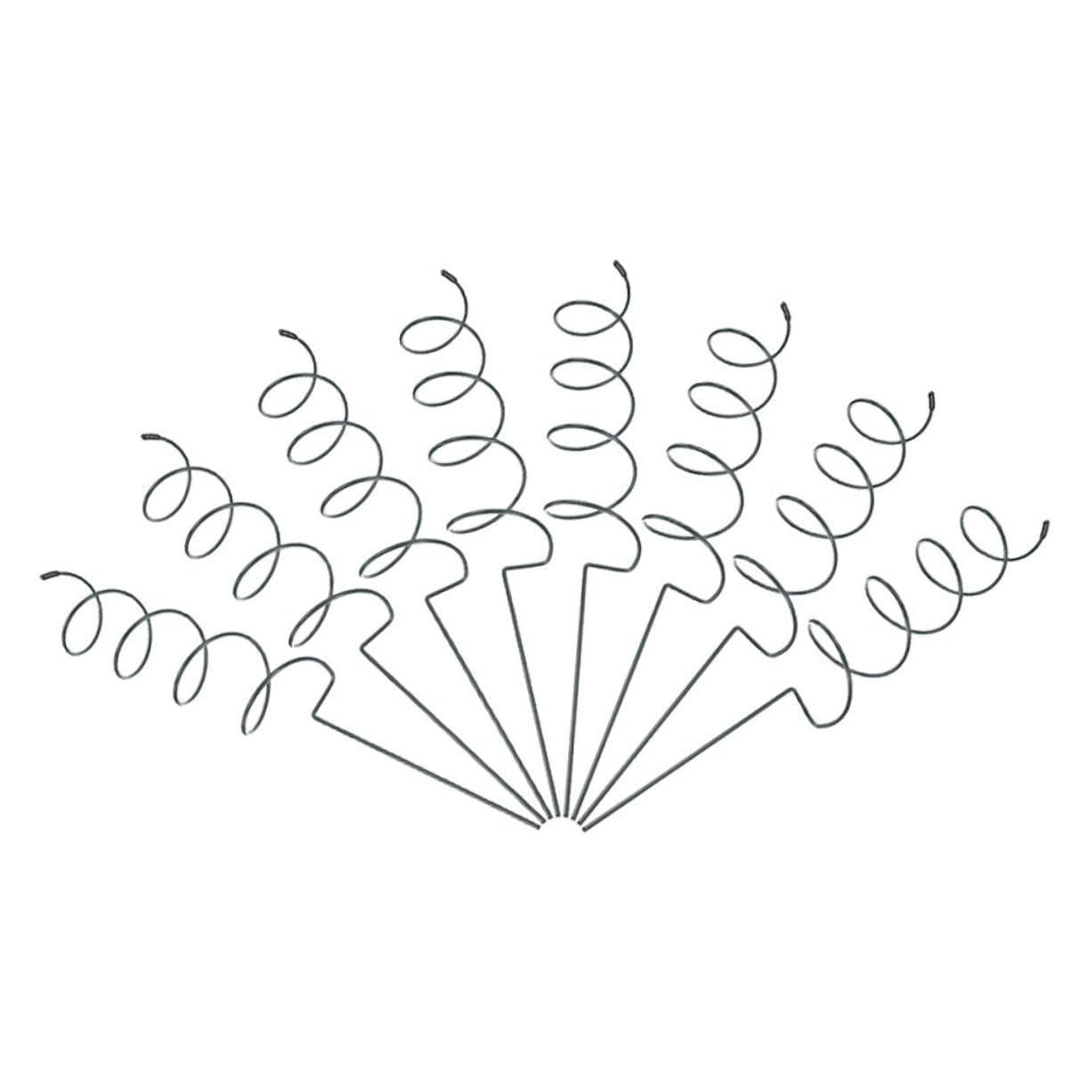 8pcs Anneaux de Support de Tige en Fer Spirale Résistants à l'usure pour Plantes et Orchidées, Faciles à Insérer en Intérieur et Jardin
