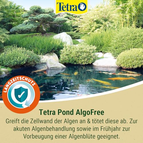 Tetra Pond AlgoFree Schwebealgen- und Fadenalgenvernichter, bekämpft langfristig grünes Wasser im Gartenteich, 250 ml