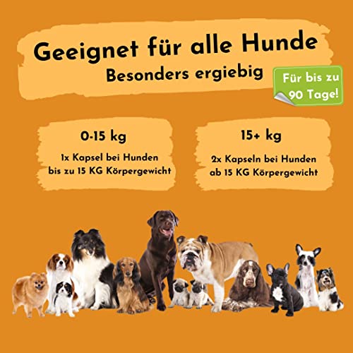 Flohsamen gemahlen für Hunde - 90 Kapseln für bis zu 3 Monate, bei Problemen mit der Analdrüse sehr positiv, natürlicher Ballaststoff als die gesunde Alternative zu Gemüse und Obst