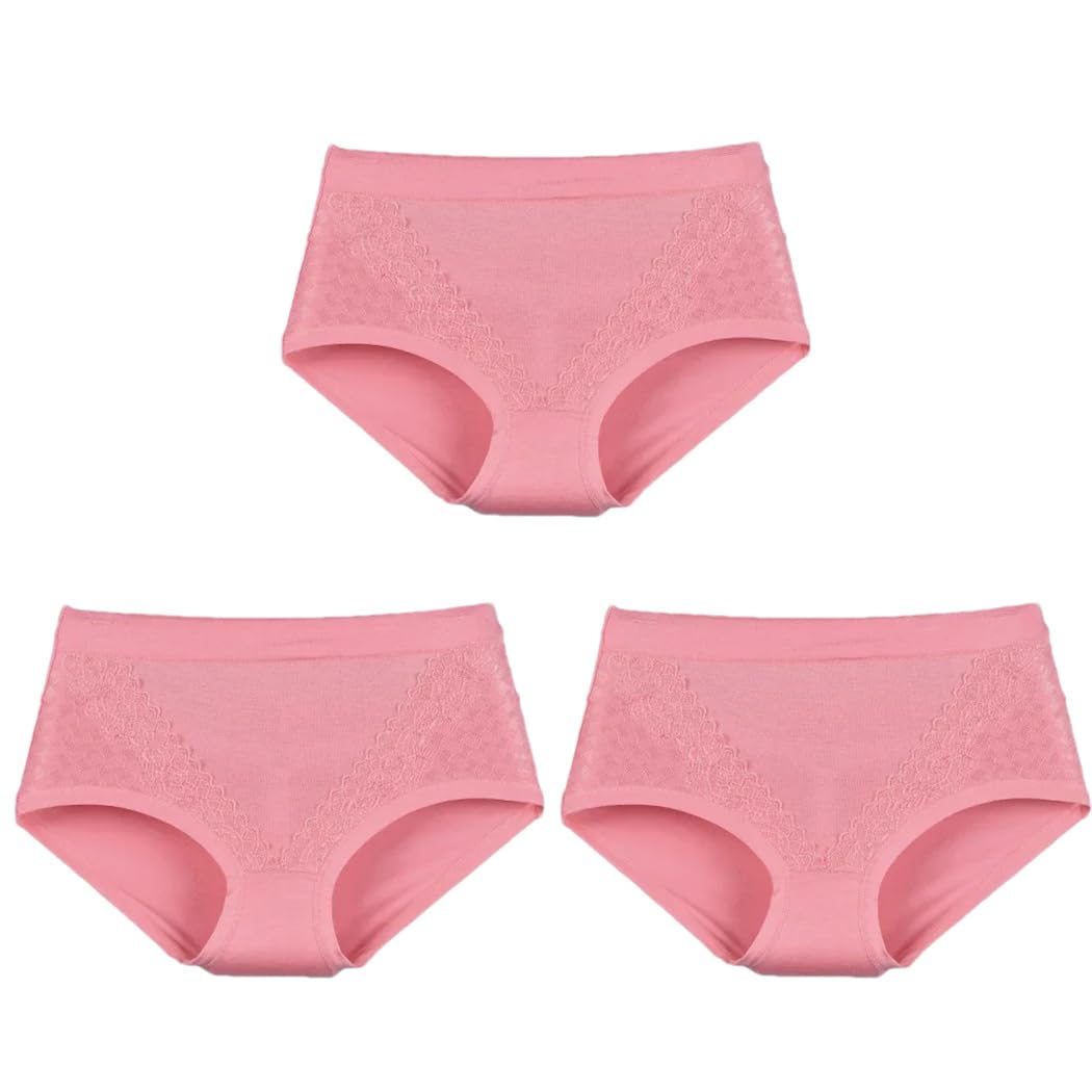 Paquete de 3 calzoncillos para mujer, ropa interior de encaje de ganchillo, ropa interior íntima suave de color sólido