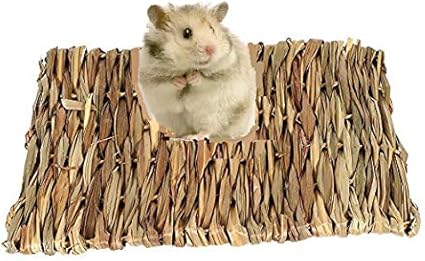 hamster hay bedding