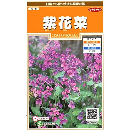 サカタのタネ 紫花菜のサムネイル