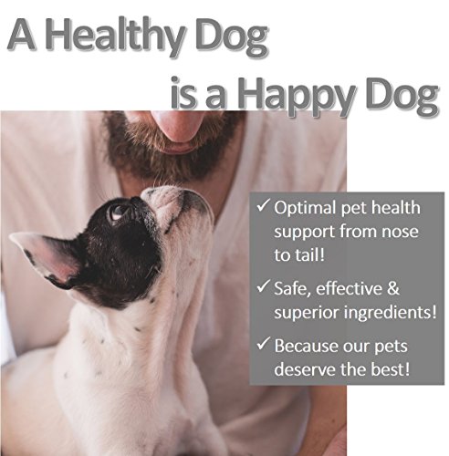 Vet Worthy Bladder Aid - Chewable Tablet to Support Healthy Bladder Control and Normal Urination - Dog Supplement with Pumpkin Root, Cranberry, Rehamannia Root and More - Liver Flavor, 75-Count