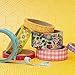 American Crafts Splendid WASHI - Nastro adesivo da 8 rotoli, multicolore