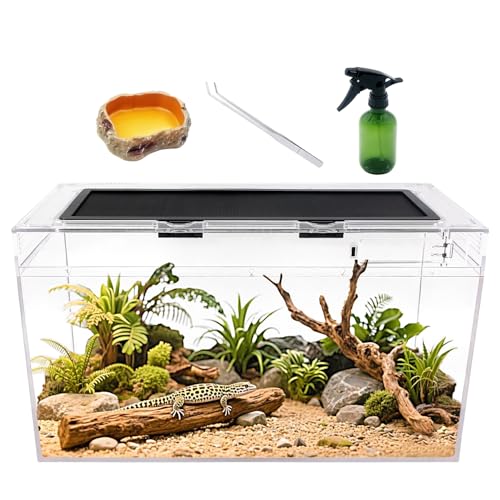Reptile Growth Reptilien-Terrarium-Set, 35.4 l Reptilien-Tank 50.8x25.4x27.9 cm, mit Edelstahl-Pinzette, Sprühflaschen, Wasserfutterschale, Bartdrachen, Eidechse