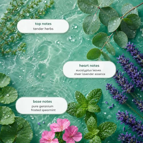 Image of Ginger Lily Farms Botanicals Conditioner, 128oz, Eucalyptus Tranquility | 100% Vegan & Cruelty-Free | Moisturizing Conditioner for All Hair Types | Refill Size