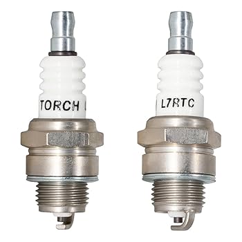 【TORCH TORCH × ebtenDXパック】新品未使用 TORCH TORCH × ebtenDXパック】 新品未使用