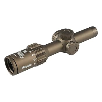 ショートスコープ　ホーリーウォーリア Amazon.co.jp: HOLY WARRIOR TANGO 6T タイプ DVO 1-6X24mm