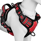 【Amazon.co.jp限定】BaoCheng 犬ハーネス 犬用胴輪 小型犬/中型犬/大型犬ハーネス 犬用胴輪 引っ張り防止 アタマを通さず 咳き込み軽減 サイズ調整可能 夜間反射材 抜けない 通気性 簡単着脱 おしゃれ 安全 しつけ用 訓練 歩行補助 散歩 可愛い(レッド,S)